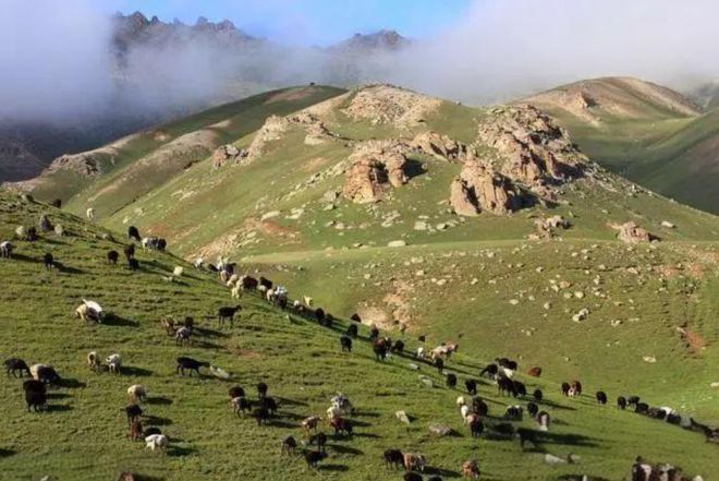 山地之國(guó)——吉爾吉斯斯坦 畜牧業(yè)與家禽家畜文化