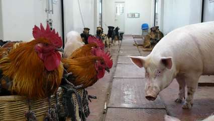 車滿心滿腰包滿 “慢火車”帶來“慢幸福”