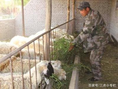 關于2019年1月1日起全面禁止農民養家禽家畜的真相