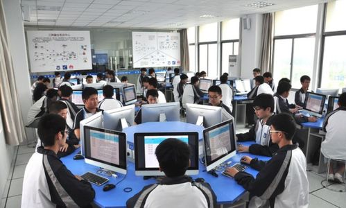 誰說專科生沒出息？選對賽道，這4個專業讓你前途光明